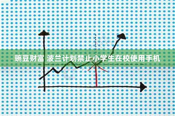 豌豆财富 波兰计划禁止小学生在校使用手机