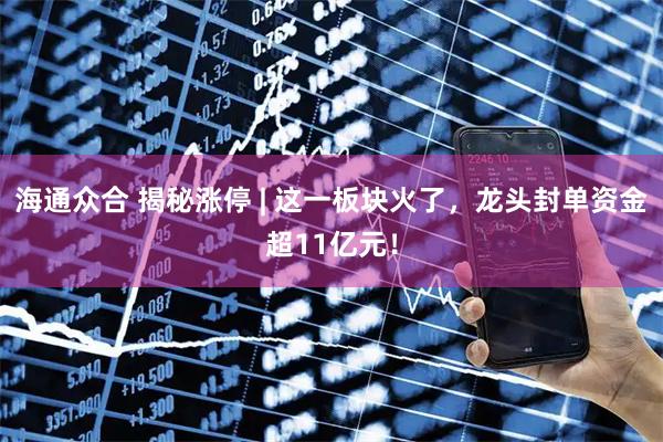 海通众合 揭秘涨停 | 这一板块火了，龙头封单资金超11亿元！